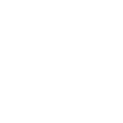 logo rebel